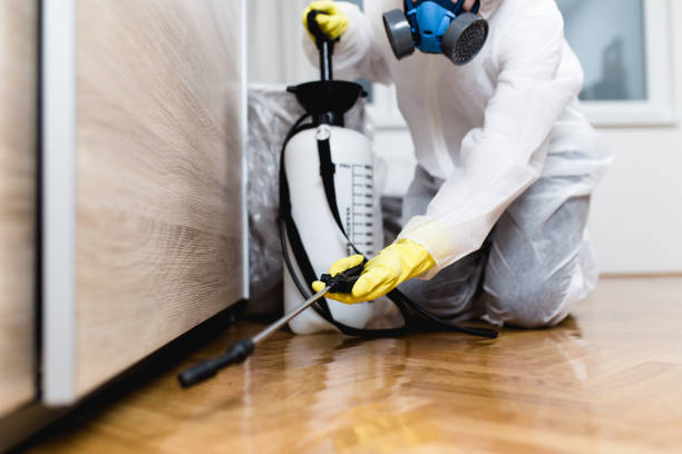 Best Affordable Pest Control Services  in Mino Tassajara, CA