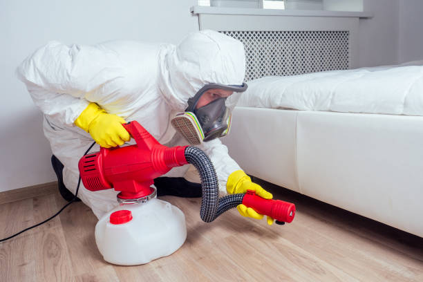 Best Mosquito Control Services  in Mino Tassajara, CA