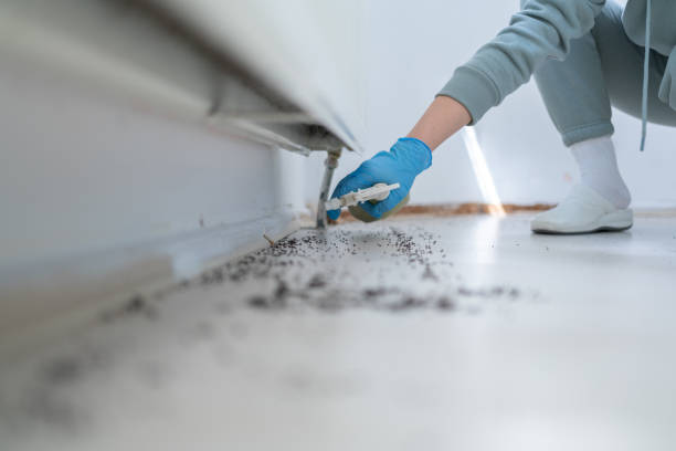 Best Best Pest Control Companies  in Mino Tassajara, CA